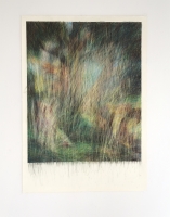 dessin - 100 x 140 cm -2015